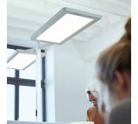 Waldmann Yara.double LED floor lamp CCT, BT, PIR, silver