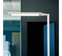 Waldmann Yara.single LED floor lamp 4,000 K, BT, LTX silver