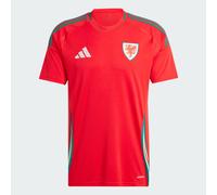 Wales 24 Home Jersey