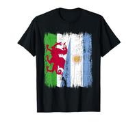 Wales Argentina Half Flag Welsh Argentinian Roots T-Shirt