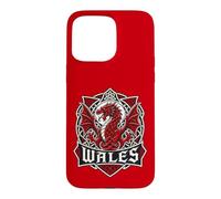 Wales Celtic Crest s Welsh Dragon Knotwork Case for iPhone 15 Pro Max
