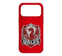 Wales Celtic Crest s Welsh Dragon Knotwork Case for iPhone 17 Pro Max