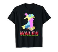 Wales County Map Dragon Lettering Graphic Design Value Graphic T-Shirt, Men, Black, M