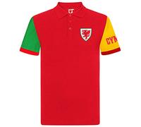 Wales Cymru FAW Official Gift Boys Contrast Sleeve Polo Shirt Red 6-7 Years