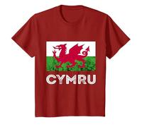 Wales Cymru Welsh Dragon Wales Flag Welsh Roots Ddraig Goch T-Shirt