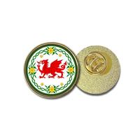 Wales dragon badge Metal pins Welsh daffodil symbol pin gift