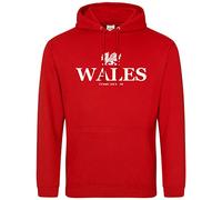 Wales Dragon Cymru Am Byth Hoodie Men Women Cymru Rugby Nations Welsh Football Supporters