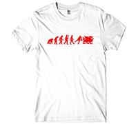 Wales Evolution T-Shirt Welsh Dragon Tee Sport Gift Mens (X-Large, White)