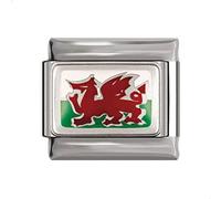 Wales Flag Charms fits all classic 9mm Italian style Bracelets - UK stock