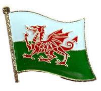 Wales Flag Pin Badge Gloss Enamel pin badge Welsh Red Dragon