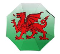 Wales Flag Welsh Dragon 3 Fold Umbrella for Rain Sun Manual Automatic Compact Travel Umbrellas Manual