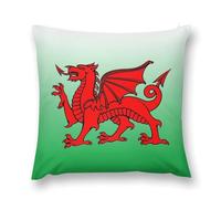 Wales Flag Welsh Dragon Pillow Cases Soft Plush Throw Pillow Cover Decorative Pillowcases for Sofa Bed Living Room