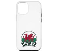 Wales Land of Dragons Welsh Flag | Cymru am byth Case for iPhone 12/12 Pro