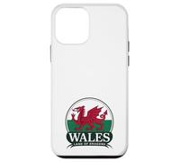 Wales Land of Dragons Welsh Flag | Cymru am byth Case for iPhone 12 mini