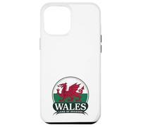 Wales Land of Dragons Welsh Flag | Cymru am byth Case for iPhone 12 Pro Max