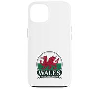 Wales Land of Dragons Welsh Flag | Cymru am byth Case for iPhone 13