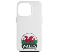 Wales Land of Dragons Welsh Flag | Cymru am byth Case for iPhone 13 Pro