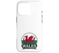 Wales Land of Dragons Welsh Flag | Cymru am byth Case for iPhone 16 Pro