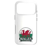 Wales Land of Dragons Welsh Flag | Cymru am byth Case for iPhone 17 Pro