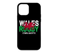Wales Rugby Cymru Am Byth Welsh Dragon Case for iPhone 12 mini