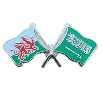Wales & Saudi Arabia Flags Friendship Courtesy Enamel Lapel Pin Badge T441