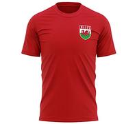 Wales Shirt Football - Mens Wales Flag Badge T Shirt - Football Country European 2021 Supporters Red Cymru Dragon Tee Him - 2020 Welsh Tournament Footy Soccer Top, M, Red
