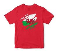 Wales Torn Flag Kids T Shirt Boys Girls Welsh Supporter Rugby Football Cymru Retro Tee Top, 3-4 Years, Red