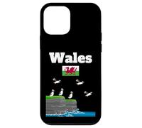 Wales travel holiday souvenir UK vacation Wales flag Case for iPhone 12 mini