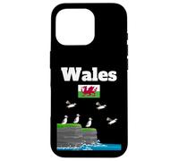 Wales travel holiday souvenir UK vacation Wales flag Case for iPhone 16 Pro