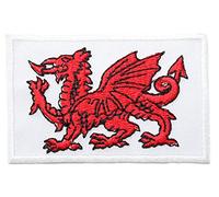 Wales Welsh Cymru Iron On Sew On Fabric Patch Embroidered Badges… (Welsh Dragon Oblong Plain)