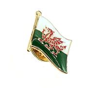 Wales Welsh Cymru Red Dragon Metal Country Flag Pin Badge