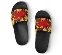 Wales Welsh Daffodils Shower Shoes Slippers Slides 42 (260mm)