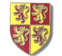 Wales Welsh Devolution Shield Enamel Lapel Pin Badge T1023