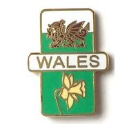 Wales Welsh Dragon and Welsh Daffodil Enamel Lapel Pin Badge T615