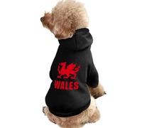 Wales Welsh Dragon Cute Dog And Cat Clothes Pet Hoodie Sweatshirt Pullover Sweater Coat