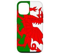 Wales Welsh Flag Welshman Case for iPhone 12/12 Pro