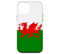 Wales Welsh Flag Welshman Case for iPhone 12 mini