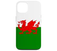 Wales Welsh Flag Welshman Case for iPhone 13