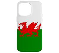 Wales Welsh Flag Welshman Case for iPhone 14 Pro Max