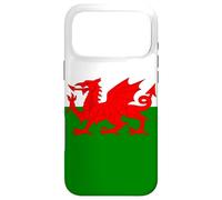 Wales Welsh Flag Welshman Case for iPhone 17 Pro Max