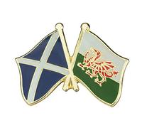 Wales Welsh Scotland Scottish Saltire Friendship Flag Metal Pin Badge