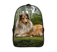 WalfiaA Unisex school bag Collie Collie Travel Rucksack Sports backpack suitable for travel and outdoor sports school bags （40x28x16cm） cool backpack