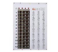 Walfront Mandolin Chord Chart Poster Mandolin Fretboard Color Prints Copperplate Paper Easy to Read Format Necessary Tool for Beginners Professional