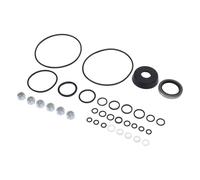 Walfront Snow Plow-Seal Kit OEM 1306150 411412 15254 for Meyer Snow Pflug E-46 E-57 E-58H Pumps, Simple Maintenance for the Professionals of Removal