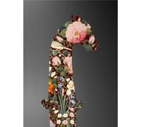 WALID RAAD - PREFACE A LA 3E EDITION: Préface à la troisième édition