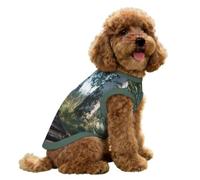Walk in The Bog Dog Shirts for Small Doggie Pet
