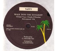 Walk Into The Daylight [VINYL]