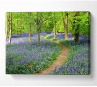 Walk Through The Bluebell Path Canvas Print Wall Art - Medium 20 X 32 Inches