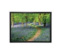 Walk Through The Bluebell Path Framed Print A2 16x24 Inches