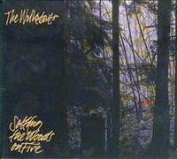 Walkabouts - Setting The Woods On Fire